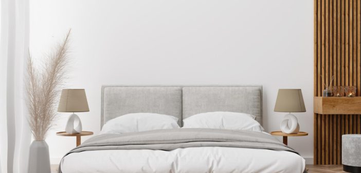 Punaises de lit : faut-il envisager de jeter son mobilier ?